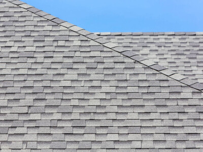 Shingle Roof