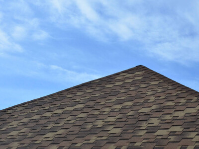 Shingle Roof