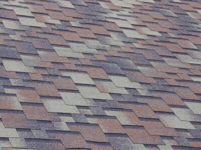 Shingle Roof