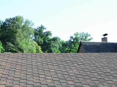 Shingle Roof